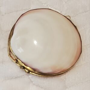 Shell coin purse